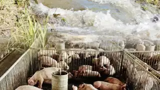 Industrias como la cervecera utilizan indiscriminadamente agua de los mantos acuíferos