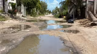 Calle Francisco Gonzáles Boca Negra es un riesgo sanitario para los vecinos