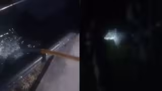 ¡Encuentro en plena noche! Tapir sorprende a guardaparques durante vigilancia en Balam Ku, Campeche