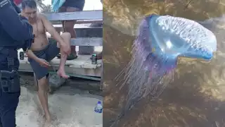 Se pide a los bañistas a tomar precauciones ante la presencia de estos animales