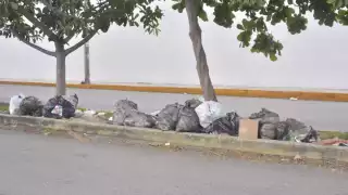 Vecinos de la Región 137 denuncian la utilización de camellones como vertederos, generando molestias y mal aspecto