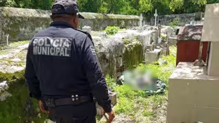 Terror en cementerio de Progreso: hallan más de 15 animales muertos tras presuntos rituales
