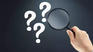 Descubren una nueva especie de rana. Foto: Especial