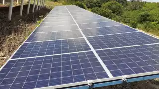 Algunos productores morelenses afirman el costo de una placa oscila en 20 mil pesos