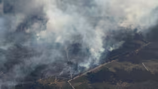 Incendios forestales en Alemania ponen en alerta a varias regiones; Merz agradece labor de equipos de emergencia