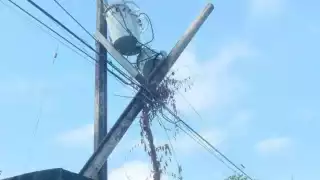 El lugar se quedó sin luz debido a que un conductor derribó el poste de luz