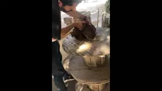 El hombre toma un trapo y con ello agarra al gato para sacarle la cabeza