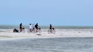 Las solicitudes se manifestaron en redes sociales, tras la divulgación de fotografías que muestran a vacacionistas en zonas prohibidas, a pesar de los letreros restrictivos.
