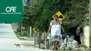 La comunidadad de Chunyah en Felipe Carrillo Puerto esta sin luz desde hace dos días