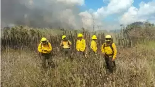 El incendio de la Biosfera de Sian Ka’an llega a X-Hazil Sur en Felipe Carrillo Puerto