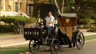   Calesas eléctricas en Mérida: ¿Cuánto cuestan y dónde abordarlas?  