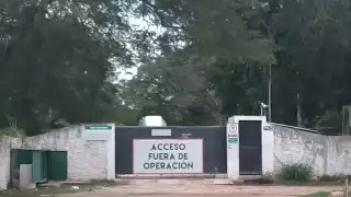 Clausuran granja de cerdos en Santa María Chi, Mérida: VIDEO
