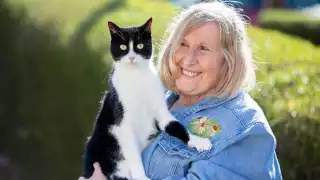 El hermoso gato que solo le falta hablar. Foto: Especial