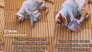 El michi llegó con la Karen a darle el dinero. Foto: Especial