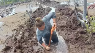 La lluvia ácida se pueden observar en las láminas, en los alambres de púas, en la piel, en la ropa