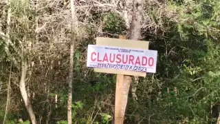 La semana pasada los ejidatarios mencionaron que volvieron a mandar otra denuncia ante la Profepa