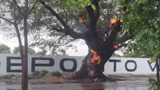 Autoridades acordonaron el área para evitar algún accidente