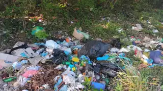 El problema se registra sobre todo en las carreteras aledañas a la localidad