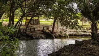 Niños y adultos pagan tan solo $20 pesos para poder ingresar