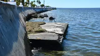 La Conagua lamentó que sean los ayuntamientos quienes "contaminen" los manglares y mares