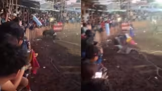 Vaquero recibe brutal cornada en duelo de ganaderías en Fiesta de Chumayel; video se hace viral y genera polémica