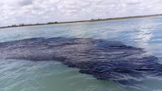 Pescadores exigen acciones ante derrame de hidrocarburos en costas de Veracruz