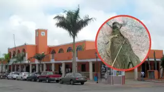 Las aves y las flechas han caído en los patios de los vecinos cercanos