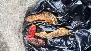 Las cifras son de acuerdo con el informe de actividades en el mes de septiembre de la Séptima Región Naval