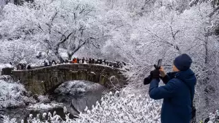 Tormenta invernal paraliza el noreste de Estados Unidos: nieve, caos vial y miles de vuelos afectados