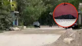 Los trabajadores de la Fiscalía General del Estado y los peritos llegaron para realizar el levantamiento del cadáver