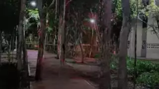 Desde que entró Diego Castañón como presidente municipal se han registrado 72 ejecuciones