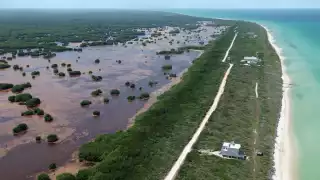 El proyecto ha sido frenado a tiempo