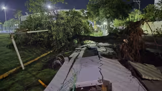 Tromba de viento derriba enorme árbol y causa daños en gimnasio de la Universidad Autónoma del Carmen