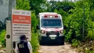 Hombre resulta herido en vías del Tren Maya en Mérida; habría sido alcanzado por una unidad