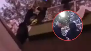 Los policías lograron bajarlo sano y salvo