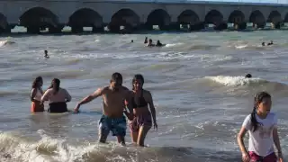 Picaduras de animales marinos acaparan atención de autoridades en Progreso