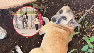 ¿Cómo está Bizcocho? Vicefiscalía revela su estado de salud e investiga a trabajador del Instituto Campechano