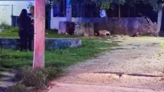 Multihomicidio en Tierra Maya, Cancún: Autoridades investigan posible ajuste de cuentas