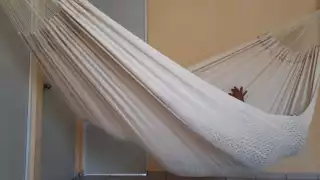   En Yucatán, al menos el 59% de las personas se han caído de su hamaca  