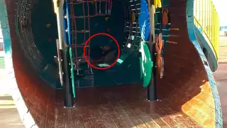 El hombre no ha sido retirado por policías de Campeche