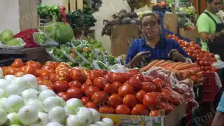 Se desploma el precio del tomate en Campeche: hasta 10 pesos el kilo; locatarios llaman a aprovechar