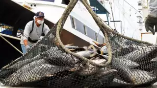 La Oficina Nacional de Administración Oceánica y Atmosférica de Estados Unidos revela que en México no existen acciones de combate