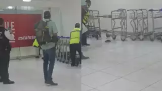 La rata fue pateada y finalmente capturada