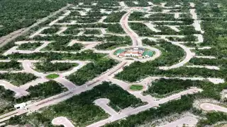 Profepa clausura obras del proyecto “Ciudad Maderas Península II” en Chelém