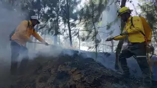Palizada es el municipio de Campeche con más riesgo en incendios