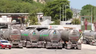 Detalló que en el 2022 proporcionaron alrededor de 105 asesorías y 125 en procesos penales federales