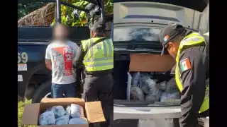SSP decomisa 29 paquetes de cannabis en Tekax durante revisión vehicular