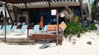 Suman 61 suicidios registrados en el municipio, en lo que va del año; situación que buscan prevenir con asistencia médica y psicológica en el sector turístico