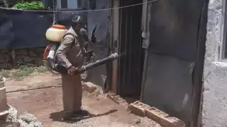 Se ha comenzado con una jornada de fumigación en Tizimín