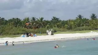 Dentro del plan de recuperación de vegetación se contempla sembrar más plantas y evitar a toda costa que se sigan llevando la arena